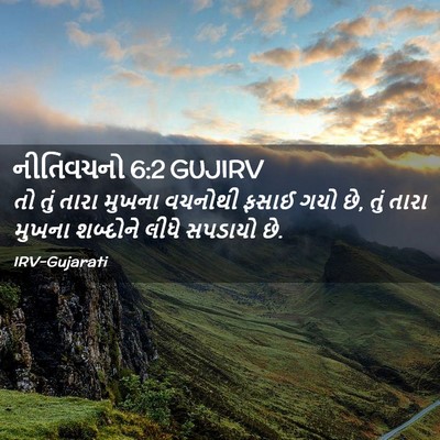 Picture 02 - નીતિવચનો 6:2 GUJIRV - તો તું તારા મુખના - Bible Verse Picture