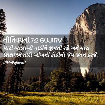 Picture 02 - નીતિવચનો 7:2 GUJIRV - મારી આજ્ઞાઓ - Bible Verse Picture