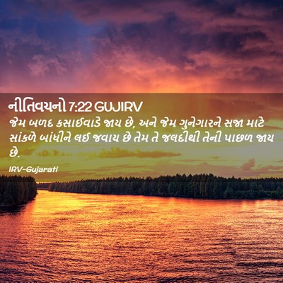 Picture 02 - નીતિવચનો 7:22 GUJIRV - જેમ બળદ કસાઈવાડે - Bible Verse Picture