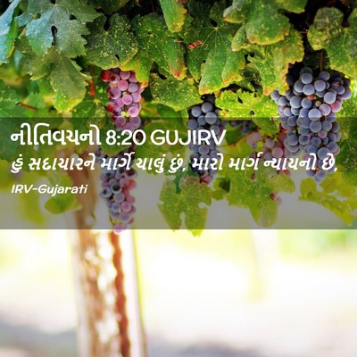 Picture 02 - નીતિવચનો 8:20 GUJIRV - હું સદાચારને - Bible Verse Picture