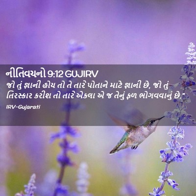 Picture 02 - નીતિવચનો 9:12 GUJIRV - જો તું જ્ઞાની હોય - Bible Verse Picture