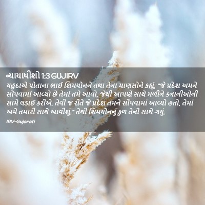 Picture 02 - ન્યાયાધીશો 1:3 GUJIRV - યહૂદાએ પોતાના ભાઈ - Bible Verse Picture