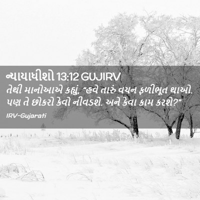 Picture 02 - ન્યાયાધીશો 13:12 GUJIRV - તેથી માનોઆએ - Bible Verse Picture