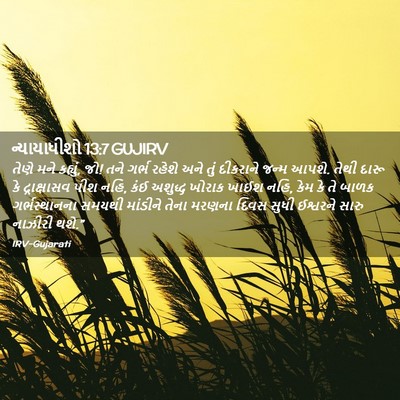 Picture 02 - ન્યાયાધીશો 13:7 GUJIRV - તેણે મને કહ્યું, - Bible Verse Picture