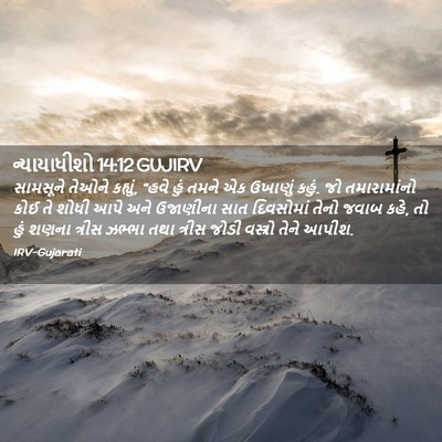 Picture 02 - ન્યાયાધીશો 14:12 GUJIRV - સામસૂને તેઓને - Bible Verse Picture