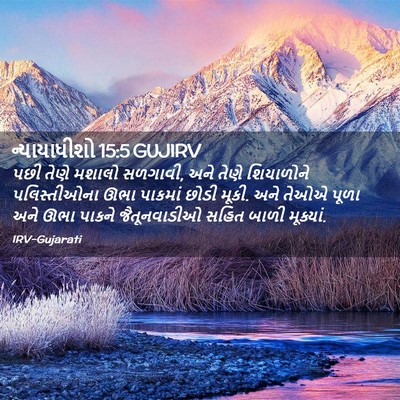 Picture 02 - ન્યાયાધીશો 15:5 GUJIRV - પછી તેણે મશાલો - Bible Verse Picture