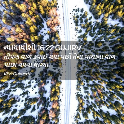 Picture 02 - ન્યાયાધીશો 16:22 GUJIRV - તોપણ વાળ કપાઈ ગયા - Bible Verse Picture