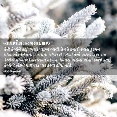 Picture 02 - ન્યાયાધીશો 3:28 GUJIRV - તેણે તેઓને કહ્યું, - Bible Verse Picture
