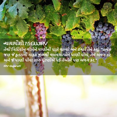 Picture 02 - ન્યાયાધીશો 7:5 GUJIRV - તેથી ગિદિયોન - Bible Verse Picture