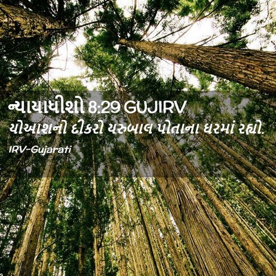 Picture 02 - ન્યાયાધીશો 8:29 GUJIRV - યોઆશનો દીકરો - Bible Verse Picture