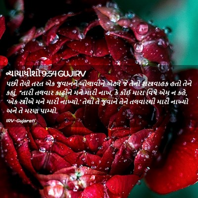 Picture 02 - ન્યાયાધીશો 9:54 GUJIRV - પછી તેણે તરત એક - Bible Verse Picture