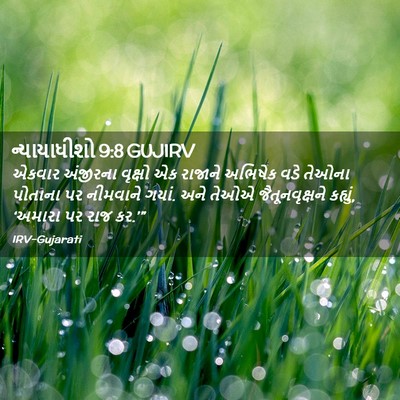 Picture 02 - ન્યાયાધીશો 9:8 GUJIRV - એકવાર અંજીરના - Bible Verse Picture