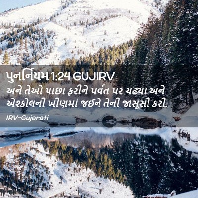 Picture 02 - પુનર્નિયમ 1:24 GUJIRV - અને તેઓ પાછા ફરીને - Bible Verse Picture
