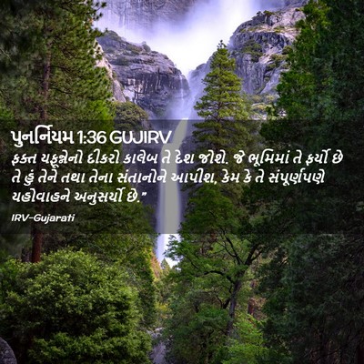 Picture 02 - પુનર્નિયમ 1:36 GUJIRV - ફક્ત યફૂન્નેનો - Bible Verse Picture
