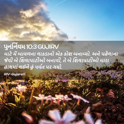 Picture 02 - પુનર્નિયમ 10:3 GUJIRV - માટે મેં બાવળના - Bible Verse Picture