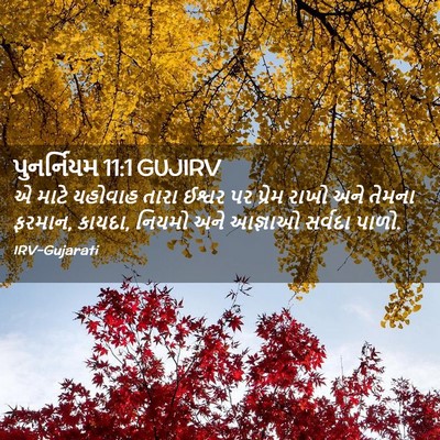 Picture 02 - પુનર્નિયમ 11:1 GUJIRV - એ માટે યહોવાહ તારા - Bible Verse Picture