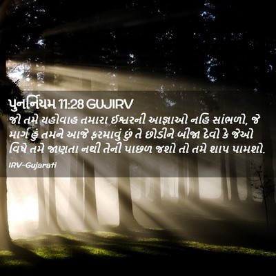 Picture 02 - પુનર્નિયમ 11:28 GUJIRV - જો તમે યહોવાહ - Bible Verse Picture