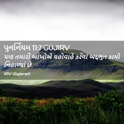 Picture 02 - પુનર્નિયમ 11:7 GUJIRV - પણ તમારી આંખોએ - Bible Verse Picture