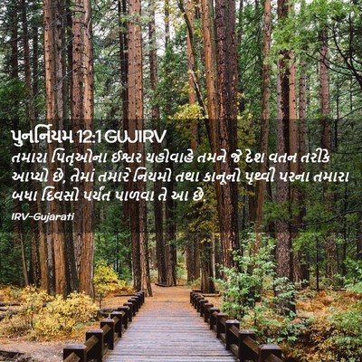 Picture 02 - પુનર્નિયમ 12:1 GUJIRV - તમારા પિતૃઓના - Bible Verse Picture