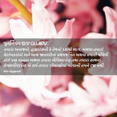Picture 02 - પુનર્નિયમ 12:17 GUJIRV - તમારા અનાજનો, - Bible Verse Picture