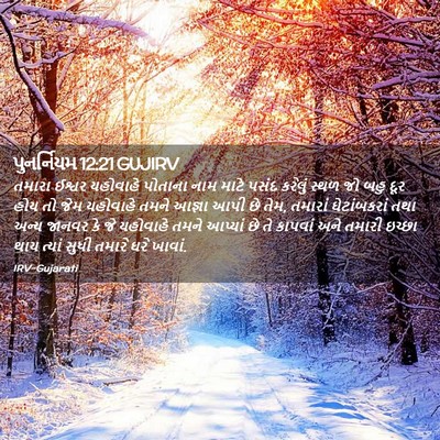 Picture 02 - પુનર્નિયમ 12:21 GUJIRV - તમારા ઈશ્વર - Bible Verse Picture