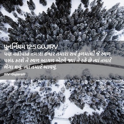 Picture 02 - પુનર્નિયમ 12:5 GUJIRV - પણ યહોવાહ તમારા - Bible Verse Picture