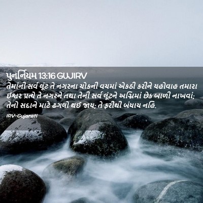 Picture 02 - પુનર્નિયમ 13:16 GUJIRV - તેમાંની સર્વ લૂંટ - Bible Verse Picture