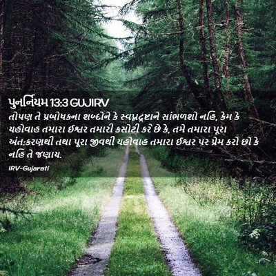 Picture 02 - પુનર્નિયમ 13:3 GUJIRV - તોપણ તે પ્રબોધકના - Bible Verse Picture