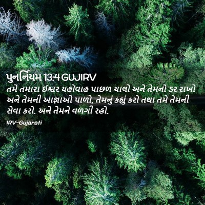 Picture 02 - પુનર્નિયમ 13:4 GUJIRV - તમે તમારા ઈશ્વર - Bible Verse Picture
