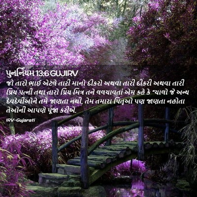 Picture 02 - પુનર્નિયમ 13:6 GUJIRV - જો તારો ભાઈ એટલે - Bible Verse Picture
