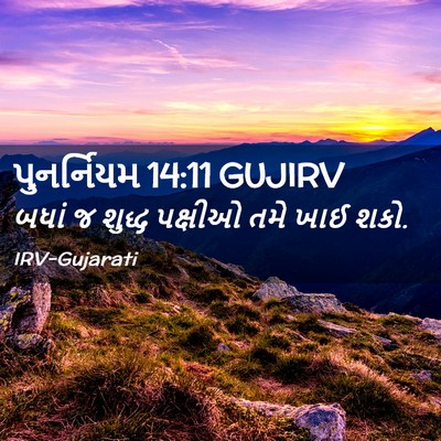 Picture 02 - પુનર્નિયમ 14:11 GUJIRV - બધાં જ શુદ્ધ - Bible Verse Picture