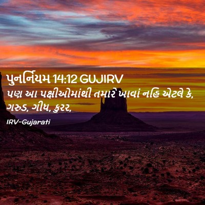 Picture 02 - પુનર્નિયમ 14:12 GUJIRV - પણ આ પક્ષીઓમાંથી - Bible Verse Picture
