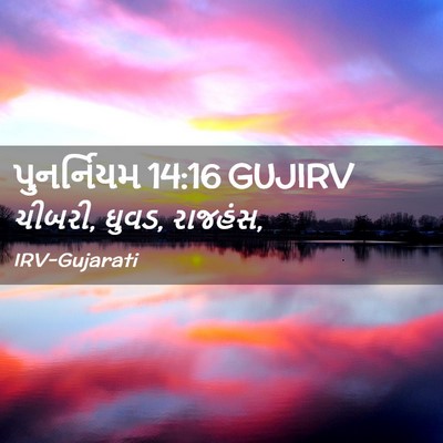 Picture 02 - પુનર્નિયમ 14:16 GUJIRV - ચીબરી, ઘુવડ, - Bible Verse Picture