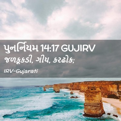 Picture 02 - પુનર્નિયમ 14:17 GUJIRV - જળકૂકડી, ગીધ, - Bible Verse Picture