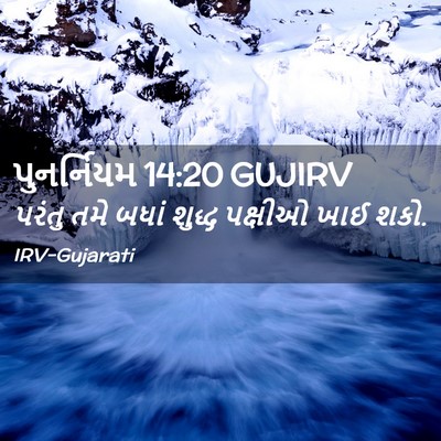 Picture 02 - પુનર્નિયમ 14:20 GUJIRV - પરંતુ તમે બધાં - Bible Verse Picture
