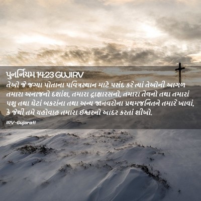 Picture 02 - પુનર્નિયમ 14:23 GUJIRV - તેઓ જે જગ્યા - Bible Verse Picture