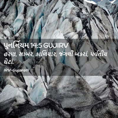 Picture 02 - પુનર્નિયમ 14:5 GUJIRV - હરણ, સાબર, કાળિયાર, - Bible Verse Picture