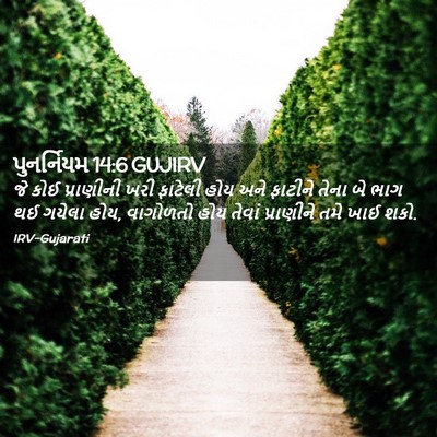 Picture 02 - પુનર્નિયમ 14:6 GUJIRV - જે કોઈ પ્રાણીની - Bible Verse Picture