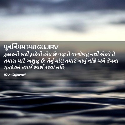 Picture 02 - પુનર્નિયમ 14:8 GUJIRV - ડુક્કરની ખરી - Bible Verse Picture