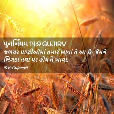 Picture 02 - પુનર્નિયમ 14:9 GUJIRV - જળચર પ્રાણીઓમાં - Bible Verse Picture