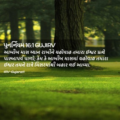 Picture 02 - પુનર્નિયમ 16:1 GUJIRV - આબીબ માસ ધ્યાન - Bible Verse Picture