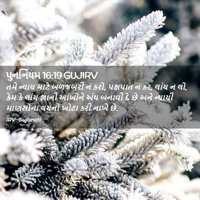 Picture 02 - પુનર્નિયમ 16:19 GUJIRV - તમે ન્યાય માટે - Bible Verse Picture