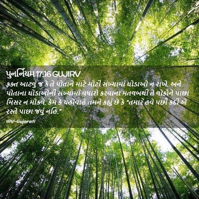 Picture 02 - પુનર્નિયમ 17:16 GUJIRV - ફક્ત આટલું જ કે તે - Bible Verse Picture