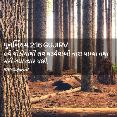 Picture 02 - પુનર્નિયમ 2:16 GUJIRV - હવે લોકોમાંથી - Bible Verse Picture