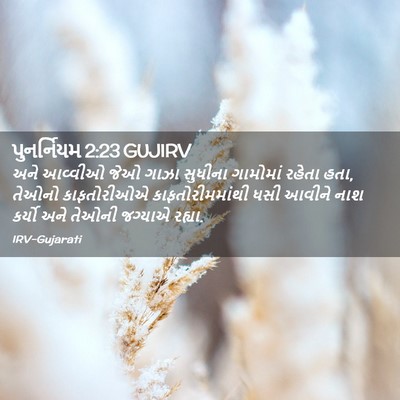 Picture 02 - પુનર્નિયમ 2:23 GUJIRV - અને આવ્વીઓ જેઓ - Bible Verse Picture
