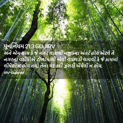 Picture 02 - પુનર્નિયમ 21:3 GUJIRV - અને એમ થાય કે જે - Bible Verse Picture