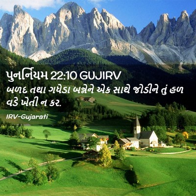 Picture 02 - પુનર્નિયમ 22:10 GUJIRV - બળદ તથા ગધેડા - Bible Verse Picture