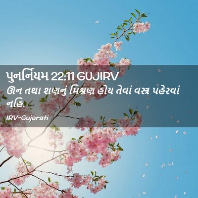 Picture 02 - પુનર્નિયમ 22:11 GUJIRV - ઊન તથા શણનું - Bible Verse Picture