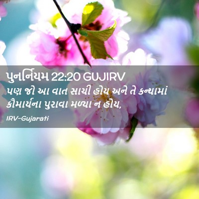 Picture 02 - પુનર્નિયમ 22:20 GUJIRV - પણ જો આ વાત સાચી - Bible Verse Picture
