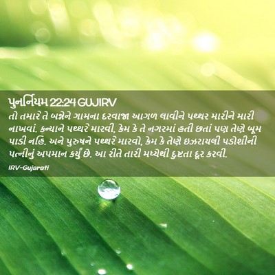 Picture 02 - પુનર્નિયમ 22:24 GUJIRV - તો તમારે તે - Bible Verse Picture